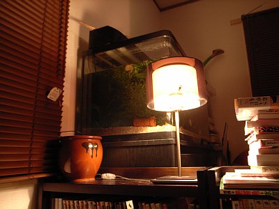 アートワークスタジオルームランプ